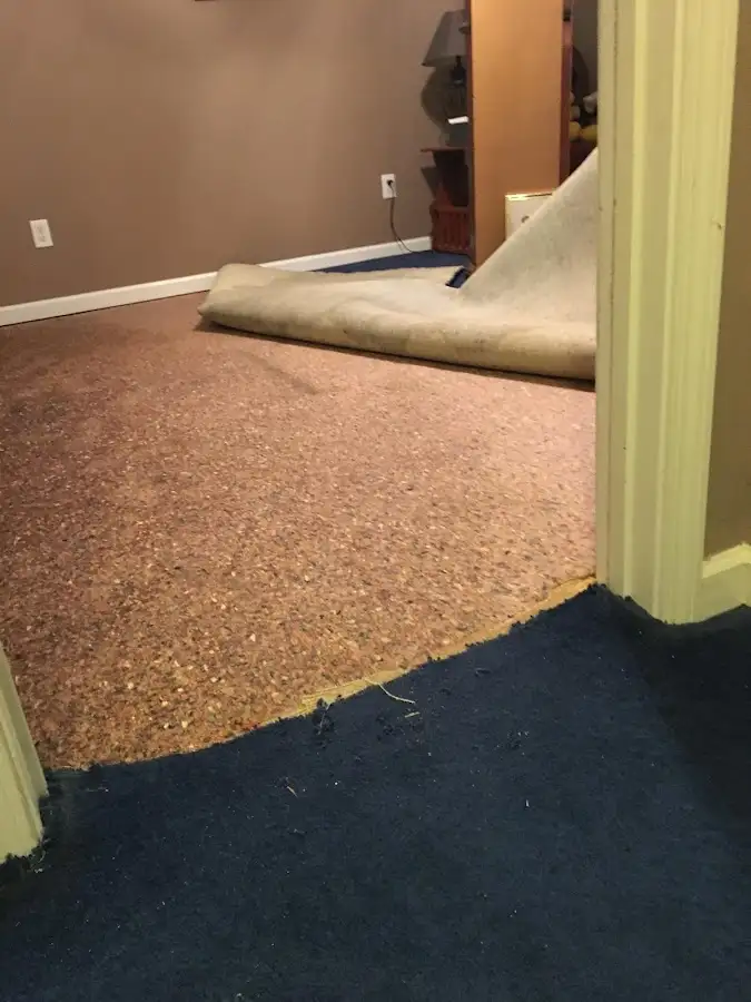 Carpet pad removal revealing water damage during Water Mitigation Services in Alderwood Manor