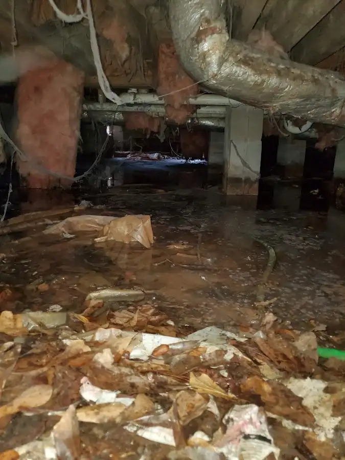Crawl space flood assessment for Commercial Water Damage Restoration in Alderwood Manor