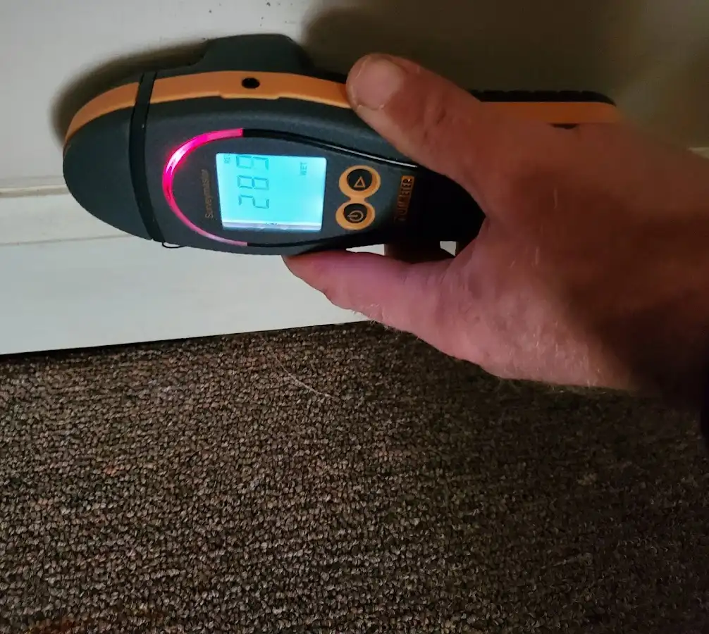Moisture detection at baseboard during Burst Pipe Cleanup in Alderwood Manor
